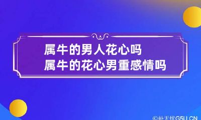 属牛的男人花心吗 属牛的花心男重感情吗