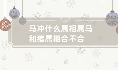 马冲什么属相 属马和猪属相合不合