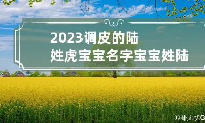 2023调皮的陆姓虎宝宝名字 宝宝姓陆取什么名字