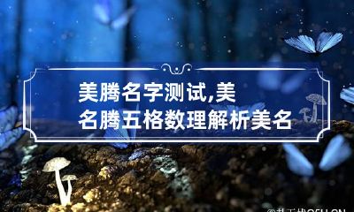 美腾名字测试,美名腾五格数理解析 美名腾智能起名网五格测名