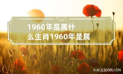 1960年是属什么生肖 1960年是属什么生肖什么命