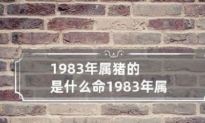 1983年属猪的是什么命 1983年属猪的是什么命格
