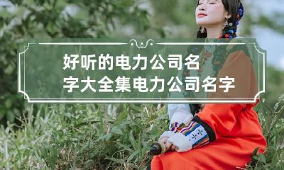好听的电力公司名字大全集 电力公司名字大全参考