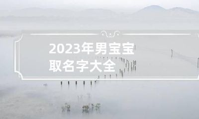2023年男宝宝取名字大全