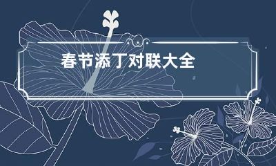 春节添丁对联大全