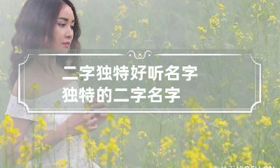 二字独特好听名字 独特的二字名字