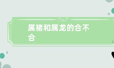 属猪和属龙的合不合