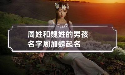 周姓和魏姓的男孩名字 周加魏起名