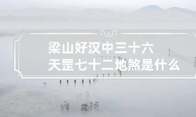 梁山好汉中三十六天罡七十二地煞是什么意思