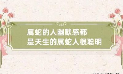 属蛇的人幽默感都是天生的 属蛇人很聪明