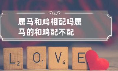 属马和鸡相配吗 属马的和鸡配不配