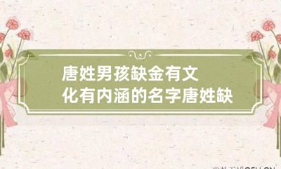 唐姓男孩缺金有文化有内涵的名字 唐姓缺木男孩