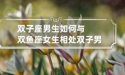 双子座男生如何与双鱼座女生相处 双子男怎么跟双鱼女相处呢