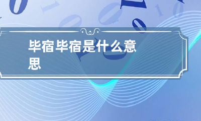 毕宿 毕宿是什么意思