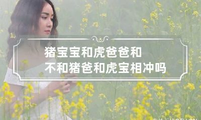 猪宝宝和虎爸爸和不和 猪爸和虎宝相冲吗?