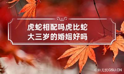 虎蛇相配吗 虎比蛇大三岁的婚姻好吗