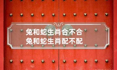 兔和蛇生肖合不合 兔和蛇生肖配不配