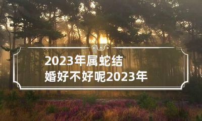 2023年属蛇结婚好不好呢 2023年属蛇感情运势