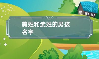 龚姓和武姓的男孩名字