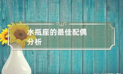 水瓶座的最佳配偶分析