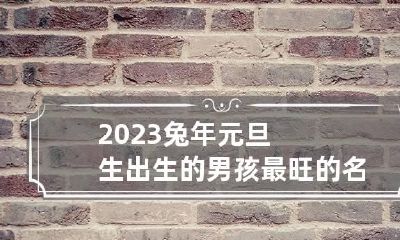 2023兔年元旦生出生的男孩最旺的名字 2023年生兔宝宝吉凶月份介绍