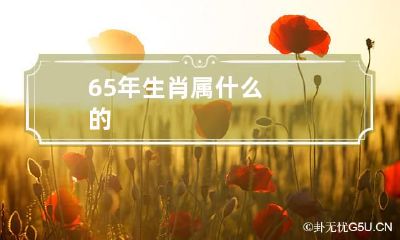 65年生肖属什么的