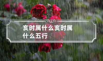 亥时属什么 亥时属什么五行