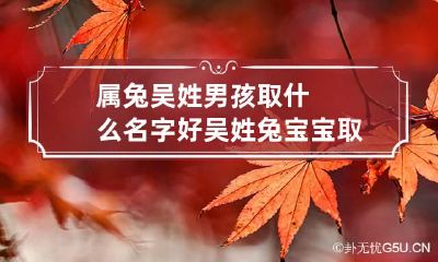 属兔吴姓男孩取什么名字好 吴姓兔宝宝取什么名字,女孩特别的