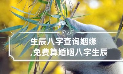 生辰八字查询姻缘,免费算婚姻八字 生辰八字算命姻缘免费