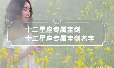 十二星座专属宝剑 十二星座专属宝剑名字