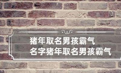 猪年取名男孩霸气名字 猪年取名男孩霸气名字