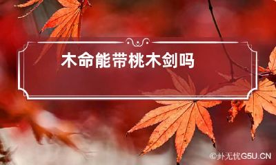 木命能带桃木剑吗
