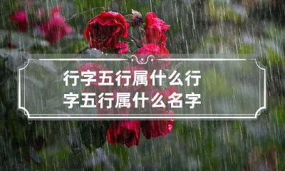 行字五行属什么 行字五行属什么名字