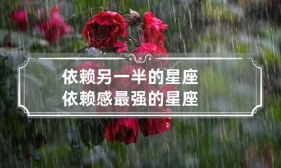 依赖另一半的星座 依赖感最强的星座