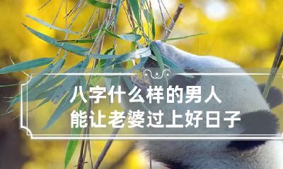 八字什么样的男人能让老婆过上好日子