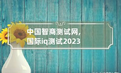 中国智商测试网,国际iq测试2023 国内智商测试
