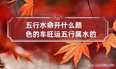 五行水命开什么颜色的车旺运 五行属水的人适合开什么颜色的车