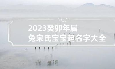 2023癸卯年属兔宋氏宝宝起名字大全 姓宋属兔的人起什么名字好