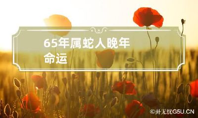 65年属蛇人晚年命运