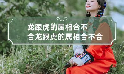 龙跟虎的属相合不合 龙跟虎的属相合不合父子