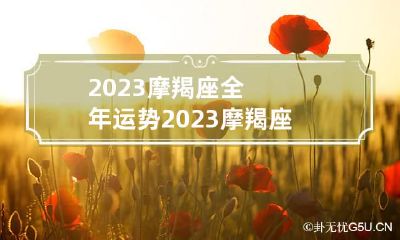 2023摩羯座全年运势 2023摩羯座全年运势详解莫小奇