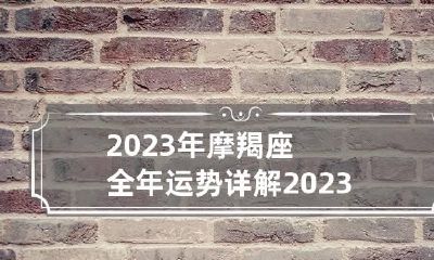 2023年摩羯座全年运势详解 2023年摩羯座全年运势详解 属狗