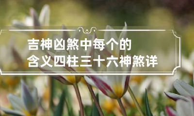 吉神凶煞中每个的含义 四柱三十六神煞详解