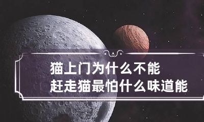 猫上门为什么不能赶走 猫最怕什么味道能赶走它