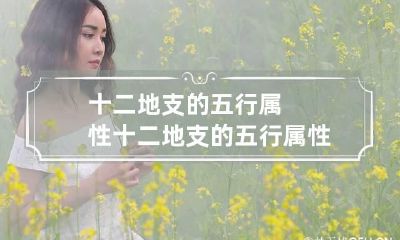 十二地支的五行属性 十二地支的五行属性阴阳