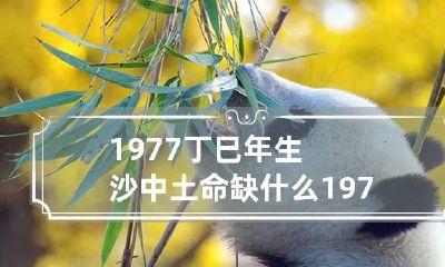 1977丁巳年生沙中土命缺什么 1977年沙中土命缺什么穿什么衣服好