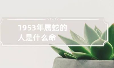 1953年属蛇的人是什么命