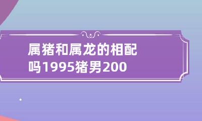 属猪和属龙的相配吗 1995猪男2000龙女配吗