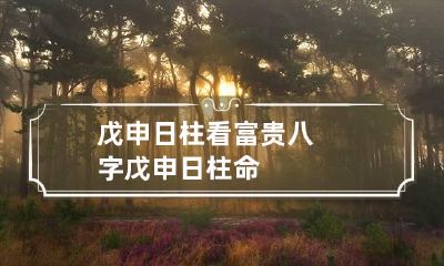 戊申日柱看富贵八字 戊申日柱命