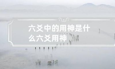 六爻中的用神是什么 六爻 用神